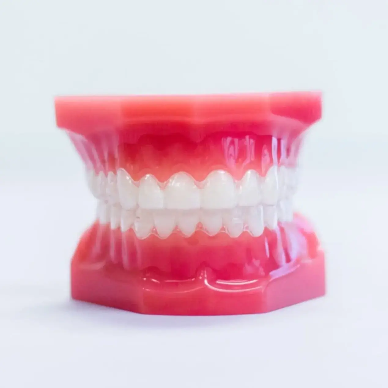 At Koerich Orthodontics in Charlotte, Indian Trail, or Monroe NC, a plastic dental model featuring a full set of upper and lower teeth with pink gums is often used to demonstrate Invisalign Clear Aligners or for dental education.